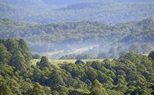 Nowendoc NSW South Australia Travel