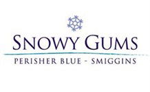 Snowy Gums Chalet - Smiggin Holes - South Australia Travel 2