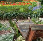 The Carrington Inn - South Australia Travel