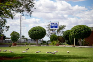Quilpie Motor Inn - South Australia Travel 4