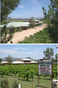 Mudgee Vineyard Motor Inn - South Australia Travel 0