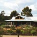 Blackwood Wines - South Australia Travel 0