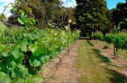 Between The Bays Retreat - South Australia Travel 2