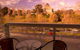 Seasons Botanic Gardens - thumb 0