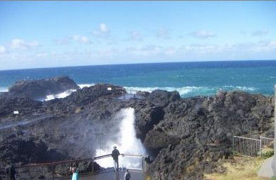 Kiama Ocean View Motor Inn - South Australia Travel 1