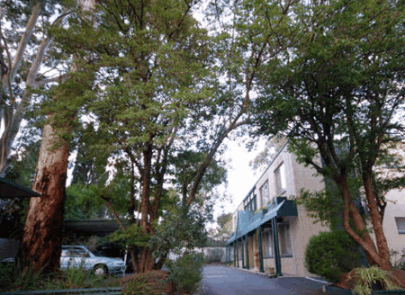 Adelaide Oakford Apartments - South Australia Travel