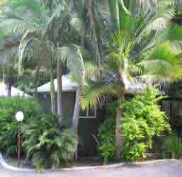 Nambour Rainforest Holiday Village - South Australia Travel 1