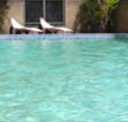 Toreador Motel - Coffs Harbour - South Australia Travel