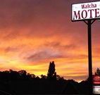 Walcha Motel - Walcha - South Australia Travel