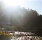 Blair Athol Estate - South Australia Travel