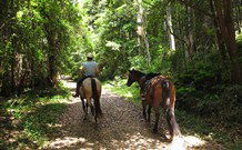 Malibells Country Cottages - South Australia Travel 1