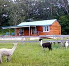 Moorallie Cottage Farm Stay - South Australia Travel