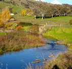 Ralda's Cottage - South Australia Travel