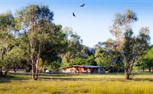 Starline Alpaca Farm Stay - South Australia Travel 2