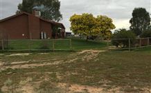 The Art Shack - South Australia Travel 4