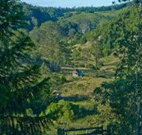 Yarralong BnB and Farm Stay - South Australia Travel