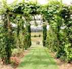 All Saints Bed and Breakfast