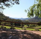 Cedar Grove - - South Australia Travel