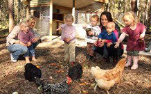 Chiltern Lodge Country Retreat - South Australia Travel 1