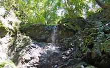 Cougal Park Bed And Breakfast - South Australia Travel 3