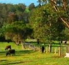Giba Gunyah Country Cottages - South Australia Travel