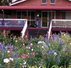 Rose Patch Bed and Breakfast - South Australia Travel