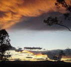 Silkwood B and B - South Australia Travel