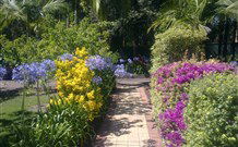 Wamberal Cottage - South Australia Travel 7