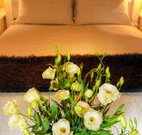 Winton Luxury Bed and Breakfast - South Australia Travel