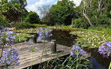 Yellow Dog Cottage - - South Australia Travel 4