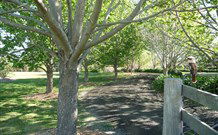Yellow Dog Cottage - - South Australia Travel 6