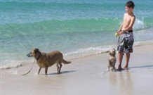 A Paradise Bungalow Waterfront - South Australia Travel 0