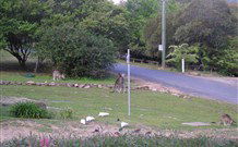 Calurla Chalets And Cottages - South Australia Travel 2