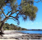 David Jones Cottage - South Australia Travel
