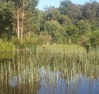 Fosterton Lodge Retreat - South Australia Travel