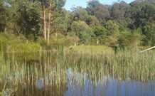 Fosterton Lodge Retreat - South Australia Travel 0