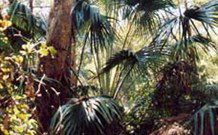 Moffat Falls Lodge, Cottages And Cabins - South Australia Travel 1