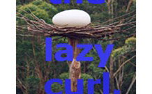 Moffat Falls Lodge, Cottages And Cabins - South Australia Travel 3