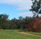 Mulberry Cottage - South Australia Travel