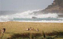 Moombilleen - South Australia Travel 2
