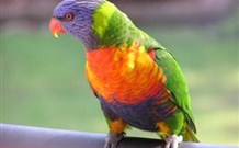 Moombilleen - South Australia Travel 4