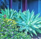 Retreat Homestead - South Australia Travel