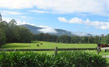 Sea Spray - South Australia Travel 4