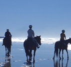 The Hayloft - South Australia Travel