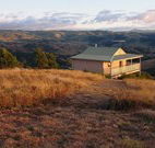 Tristania Tops Barrington - South Australia Travel