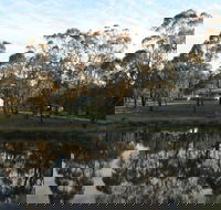 Greysen Farmstay - South Australia Travel