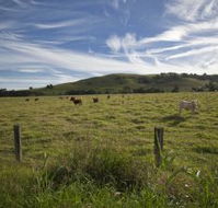 Annas Retreat - South Australia Travel