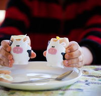 Cosy Cow Farmstay Bed and Breakfast - South Australia Travel