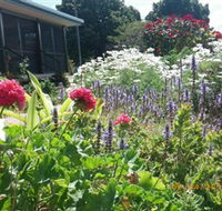 Eastwood Farm - South Australia Travel