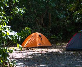 Jungle Lodge - South Australia Travel 1